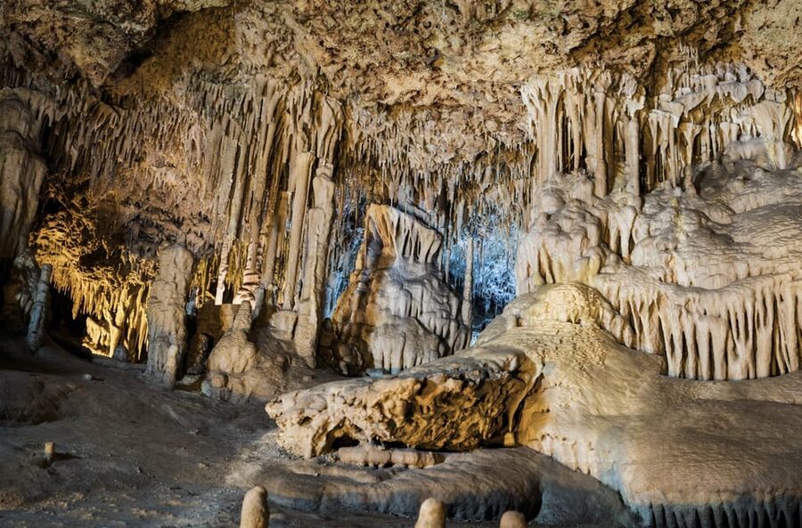 From Palma de Mallorca: Dinosaurland tour - The dinosaur-themed bar and dino burger