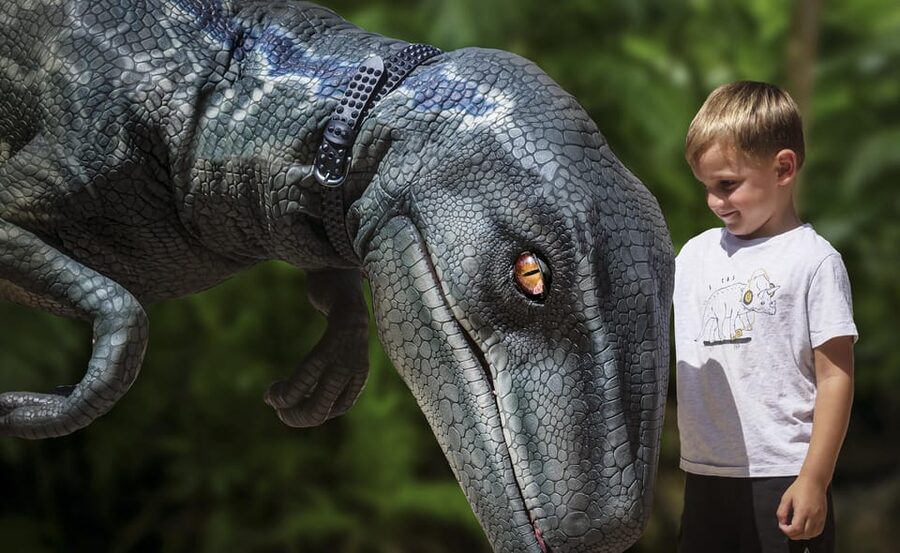 From Palma de Mallorca: Dinosaurland tour - The one-hour ride from Palma