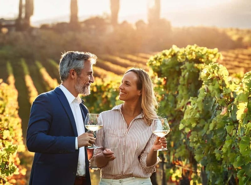 From Palma de Mallorca: Private Wine and Local Flavors Tour - From Palma to the Binissalem wine country