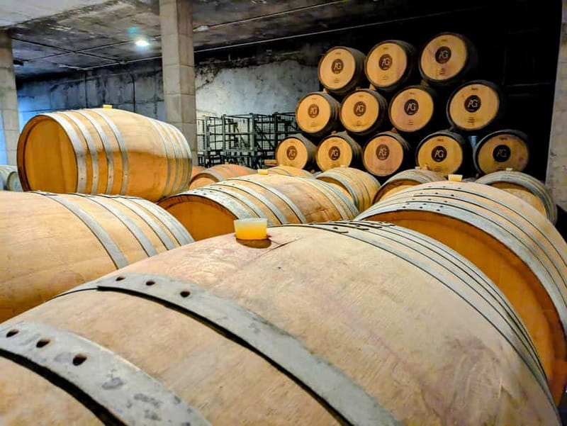 From Palma de Mallorca: Private Wine and Local Flavors Tour - Twenty minutes among the vines and winery buildings