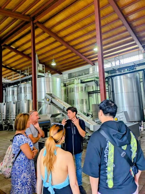 From Palma de Mallorca: Private Wine and Local Flavors Tour - Who should book this Mallorca wine tour?