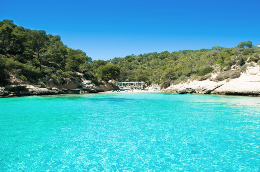 From Palma: Portal Vells Beach and Cave SUP & Snorkel Tour - Key points to know before booking