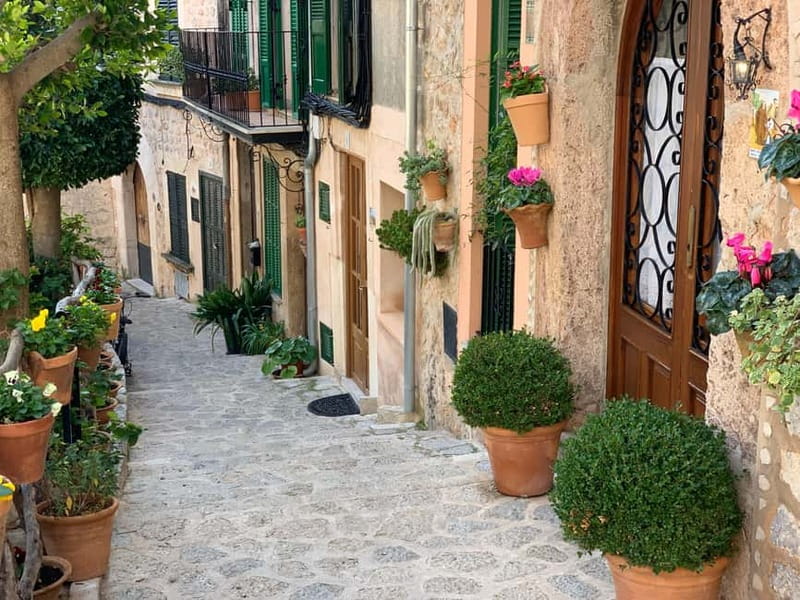 From Palma: Valldemossa Tour and Mountain Viewpoint Hike - Who should book this Valldemossa outing?