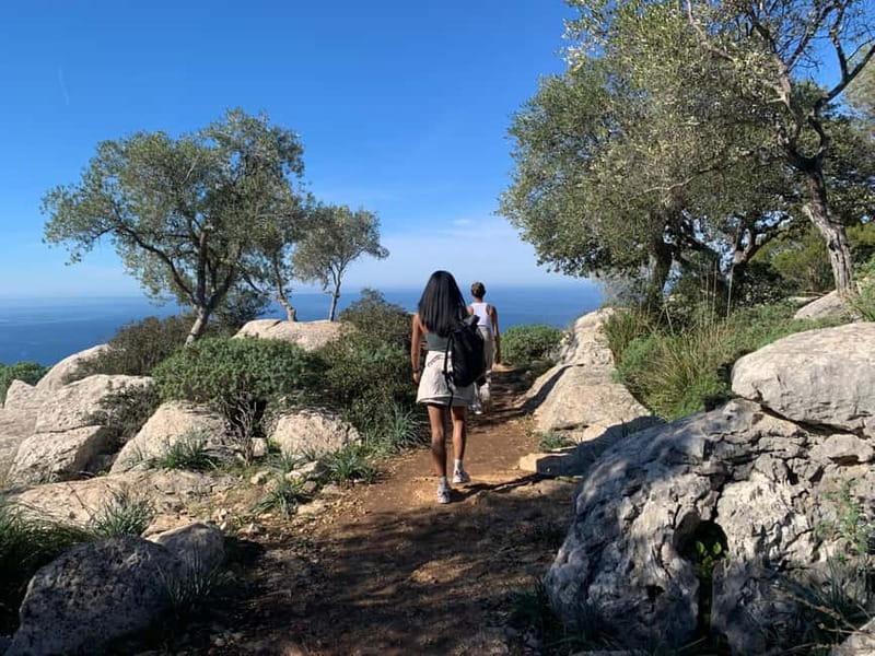 From Palma: Valldemossa Tour and Mountain Viewpoint Hike - The ride from Palma to Mallorca’s high village