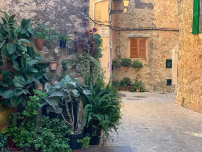 Valldemossa Tour and Mountain Viewpoint Hike