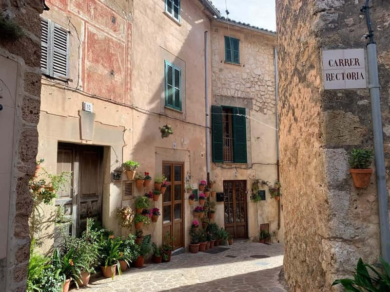 From Palma: Valldemossa Tour and Mountain Viewpoint Hike - Daniela’s guiding style and the value of a small group