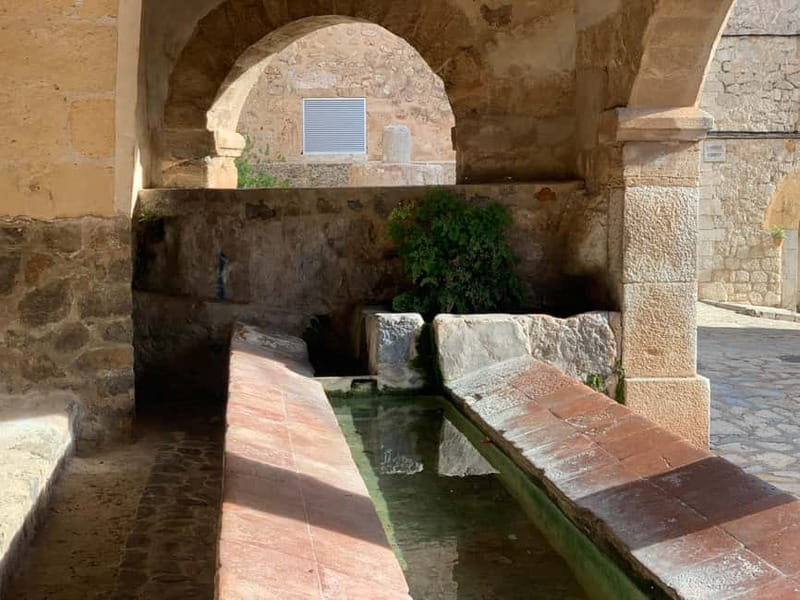 From Palma: Valldemossa Tour and Mountain Viewpoint Hike - Is $105 a fair price?