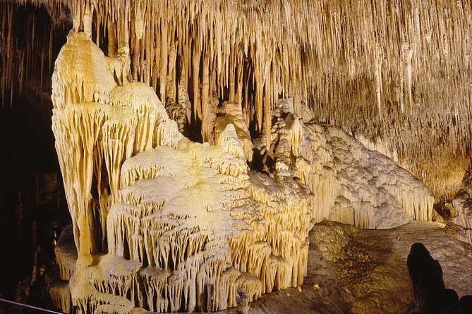 Full-Day Mallorca Caves Tour: Drach, Hams & Pearl Factory Visit - The Majorica stop is useful only if you like shopping