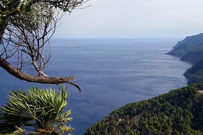 Full-Day Mallorca Caves Tour: Drach, Hams & Pearl Factory Visit - The $94.91 price: convenient, but not automatically a bargain
