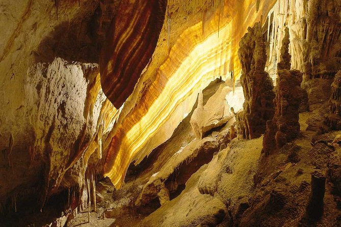 Full-Day Mallorca Caves Tour: Drach, Hams & Pearl Factory Visit - Who will enjoy this Mallorca cave tour