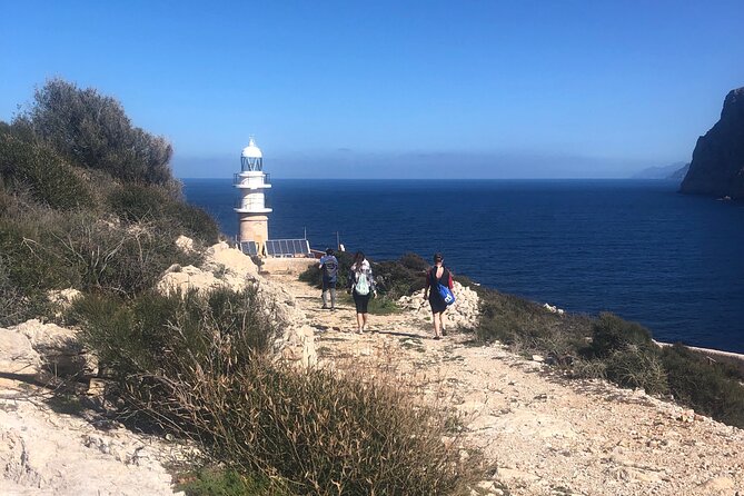 Guided Kayak & Hike from Sant Elm to Sa Dragonera - Starting in Sant Elm and getting ready on the shore