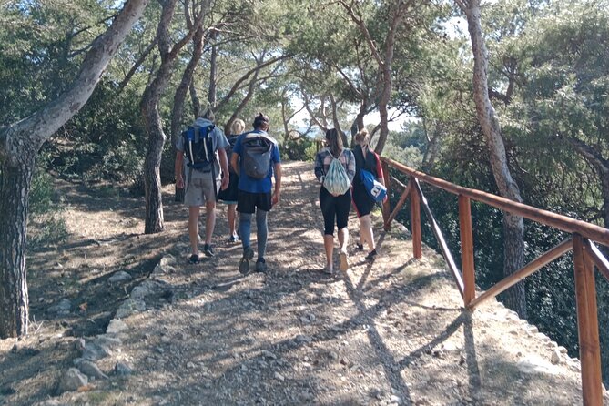 Guided Kayak & Hike from Sant Elm to Sa Dragonera - Swimming, snorkeling, and the paddle back