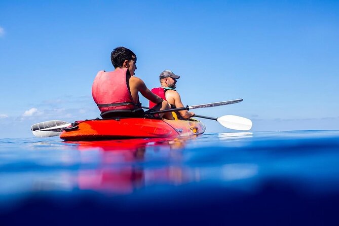 Guided Kayak Tour from Sant Elm to Sa Dragonera - Who will enjoy this tour most