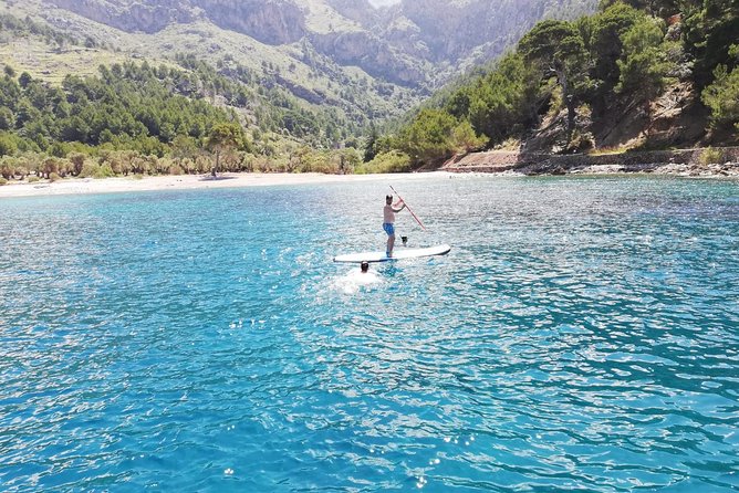 Half Day Sailing Excursion along the Coast - Is $955.40 Good Value for Eight People?