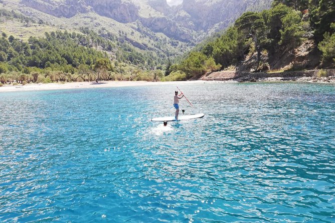 Half Day Sailing Excursion along the Coast with Sunset - Who gets the best value from the $905.09 price