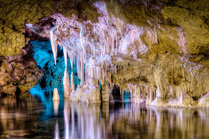Half Day Tour to Dinosaur Land in Mallorca - Key points to know before booking