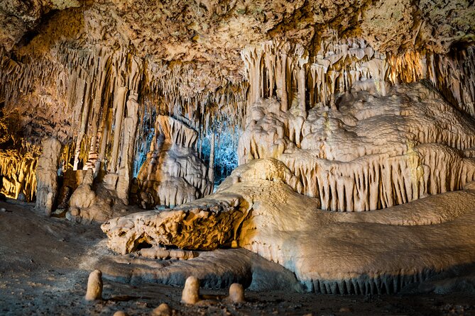 Half Day Tour to Dinosaur Land in Mallorca - What your time at the park feels like