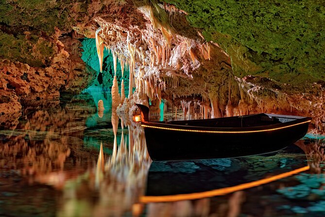 Half Day Tour to Dinosaur Land in Mallorca - Is $68.61 good value?