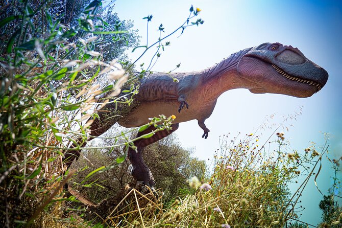 Half Day Tour to Dinosaur Land in Mallorca - Who should book this Mallorca outing?