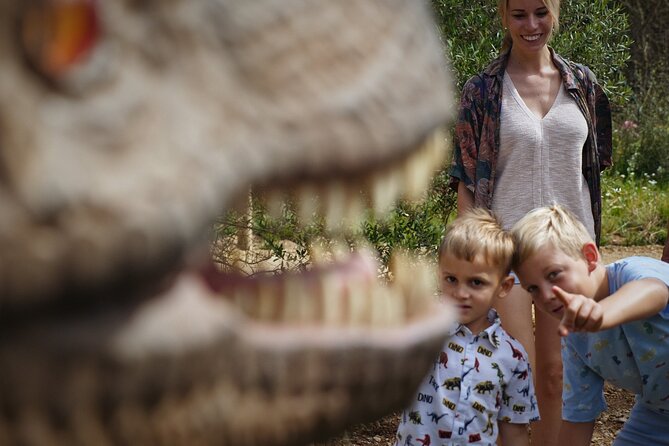 Half Day Tour to Dinosaur Land in Mallorca - The route from Palma takes real time