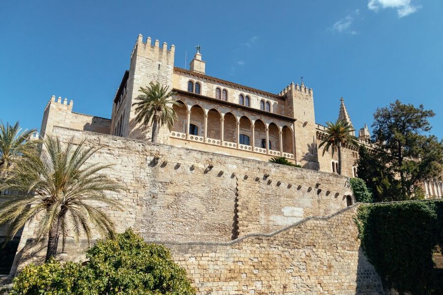 Highlights & Hidden Gems of Palma de Mallorca Private Tour - Starting under the olive tree at Hotel de Cort