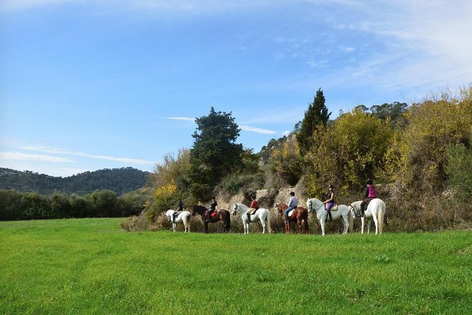 Horseback Riding in Randa Valleys, Mallorca, Spain - Key Points at a Glance