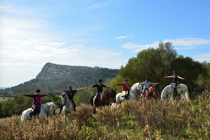Horseback Riding in Randa Valleys, Mallorca, Spain - Why This Ride Feels More Personal Than a Basic Trail Outing