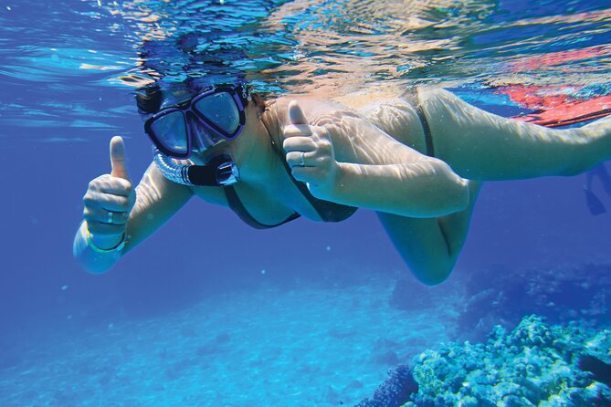Jet Boat Excursion in South West Coast of Mallorca - Who will enjoy this trip most