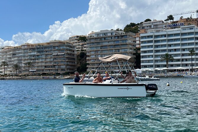 License free boat rental around the coast of santa ponsa - Who Will Enjoy This Most