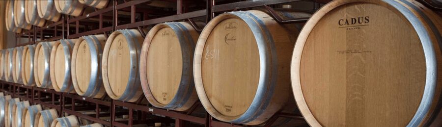 Llucmajor: Bodegas Bordoy Wine Tour - Entering the production room