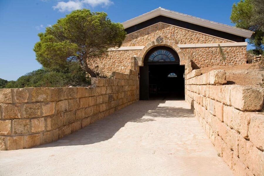 Llucmajor: Bodegas Bordoy Wine Tour - Seeing the barrel room and vineyards