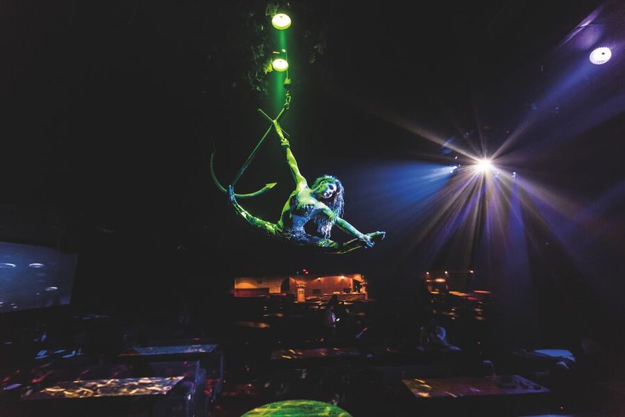Magaluf: Pirates Adventure Dinner Show Ticket - Key points before you book
