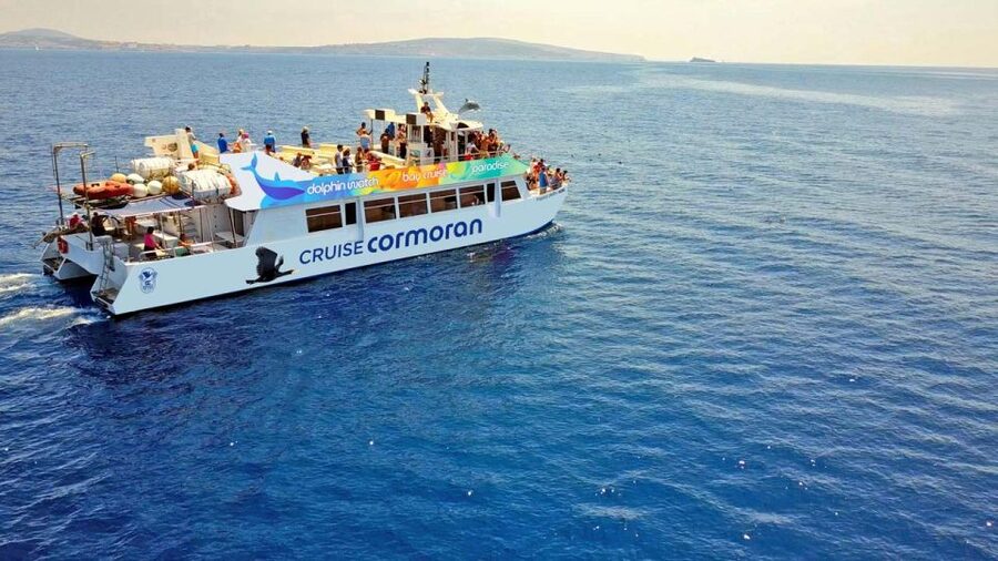 Mallorca: 2-Hour Dolphin Watching Cruise & Glass-Bottom Boat - Key points to know before you book