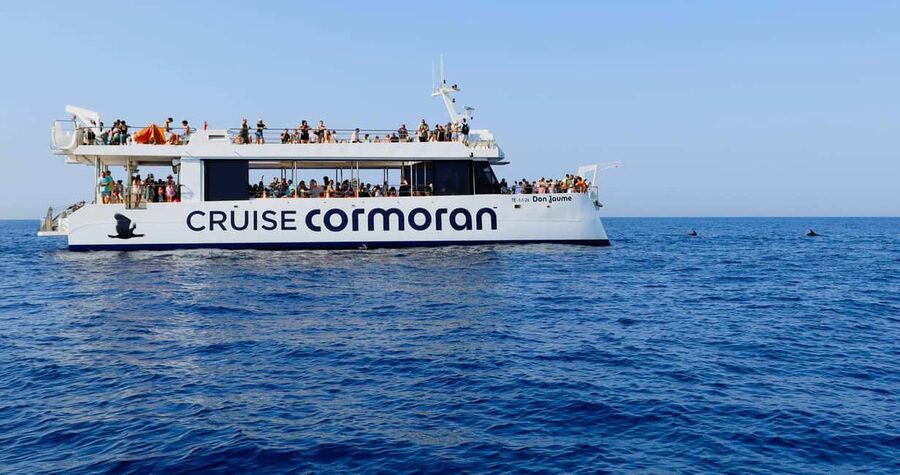 Mallorca: 2-Hour Dolphin Watching Cruise & Glass-Bottom Boat - The upper deck and the best place to sit