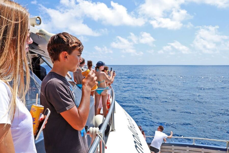 Mallorca: 2-Hour Dolphin Watching Cruise & Glass-Bottom Boat - What the glass-bottom section is really like