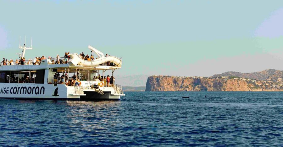 Mallorca: 2-Hour Dolphin Watching Cruise & Glass-Bottom Boat - Who will enjoy this cruise most?