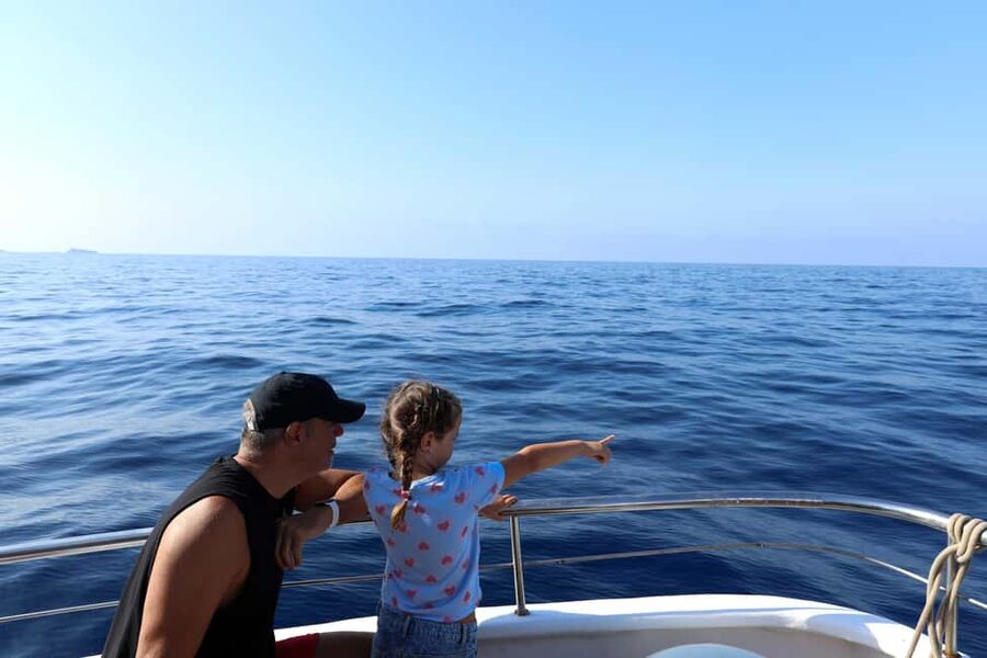 Mallorca: 3-Hour Afternoon Dolphin Watching Boat Tour - Practical advice for a smoother afternoon