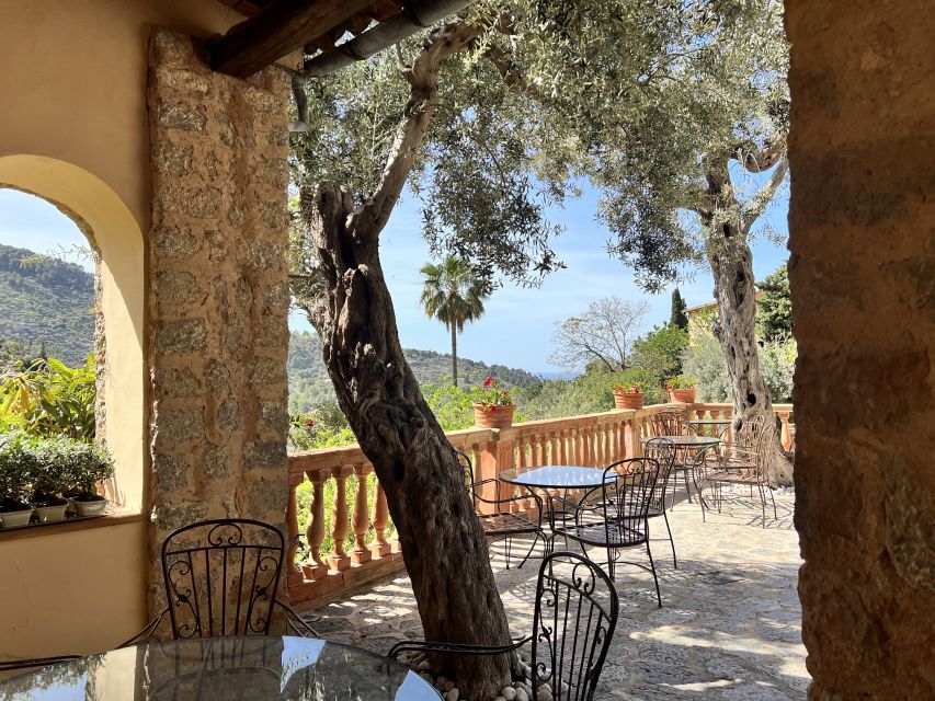 Mallorca Beyond the Guidebooks - Tour with the famous Author - Key details that shape the day