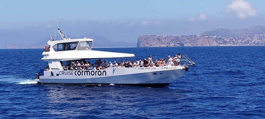 Mallorca: Catamaran Coastal Cruise with Lunch - Six practical ways to improve your day