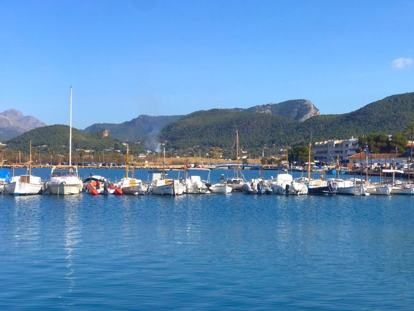 Mallorca: Catamaran Coastal Cruise with Lunch - A relaxed morning along Mallorca’s southwest coast
