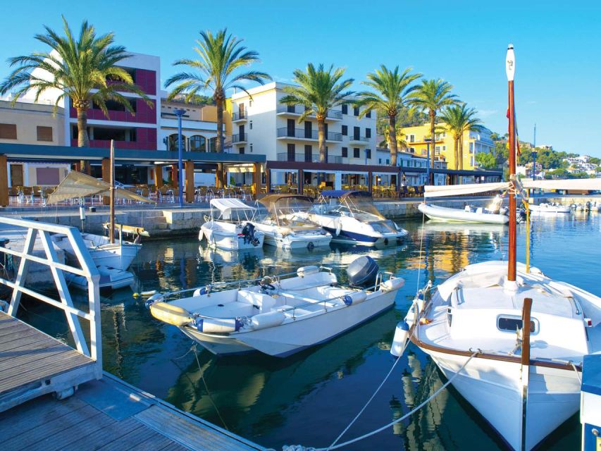 Mallorca: Catamaran Coastal Cruise with Lunch - Cala Egos: the first chance to swim