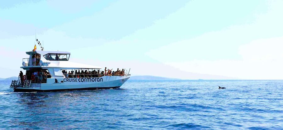 Mallorca: Catamaran Coastal Cruise with Lunch - Lunch aboard the catamaran