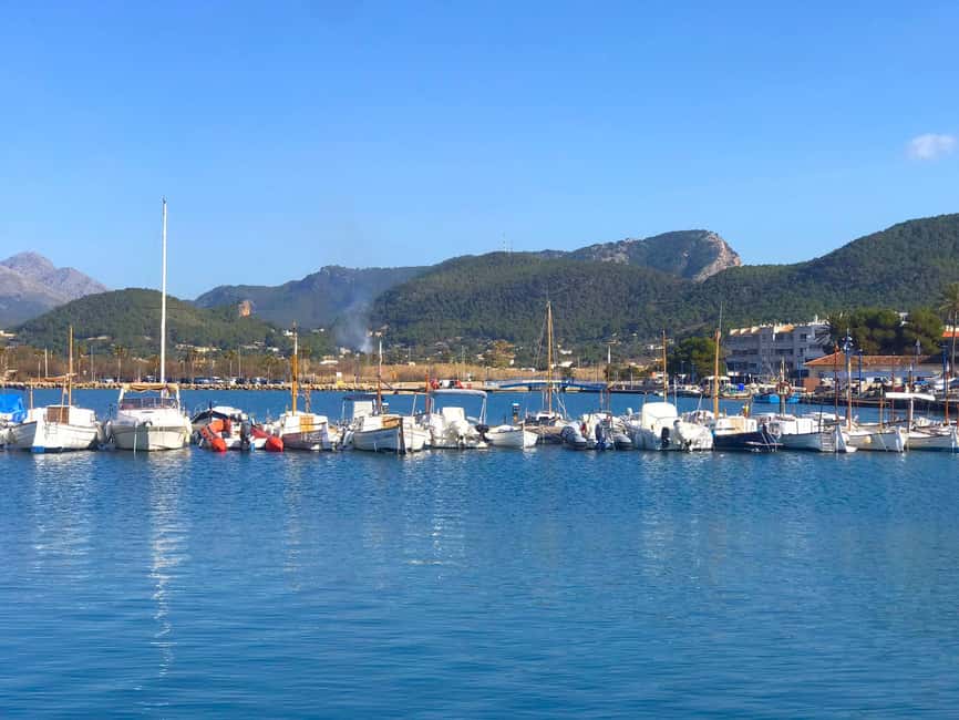 Mallorca: Catamaran Coastal Cruise with Lunch - Who will enjoy this cruise most
