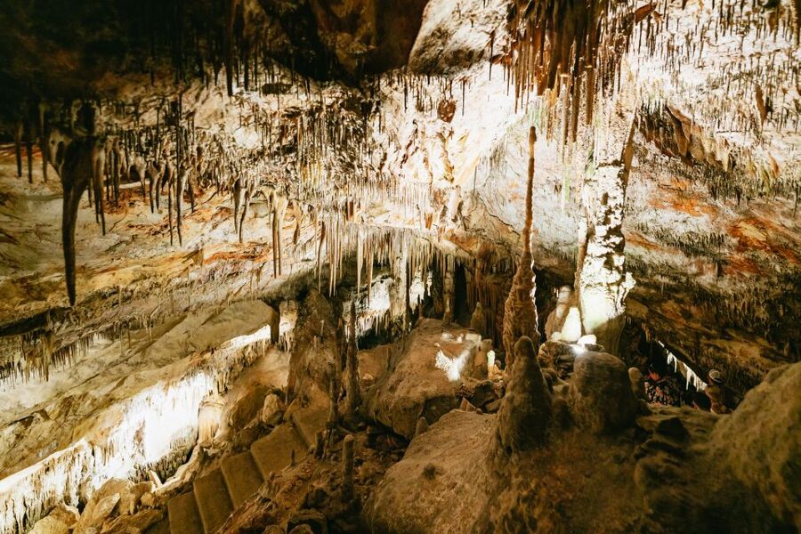 Mallorca: Caves of Drach Day Trip & Optional Caves of Hams - Choosing the Caves of Hams option