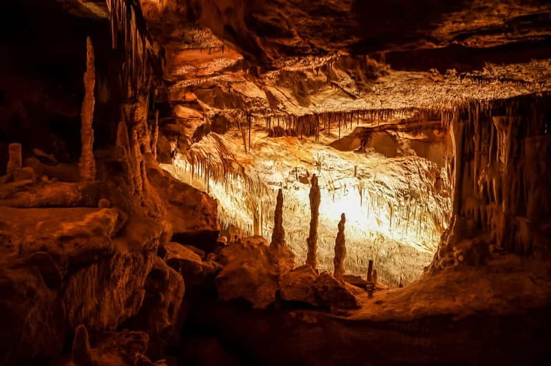 Mallorca: Caves of Drach Tour from the North with Boat Trip - Why the Caves of Drach are worth your time