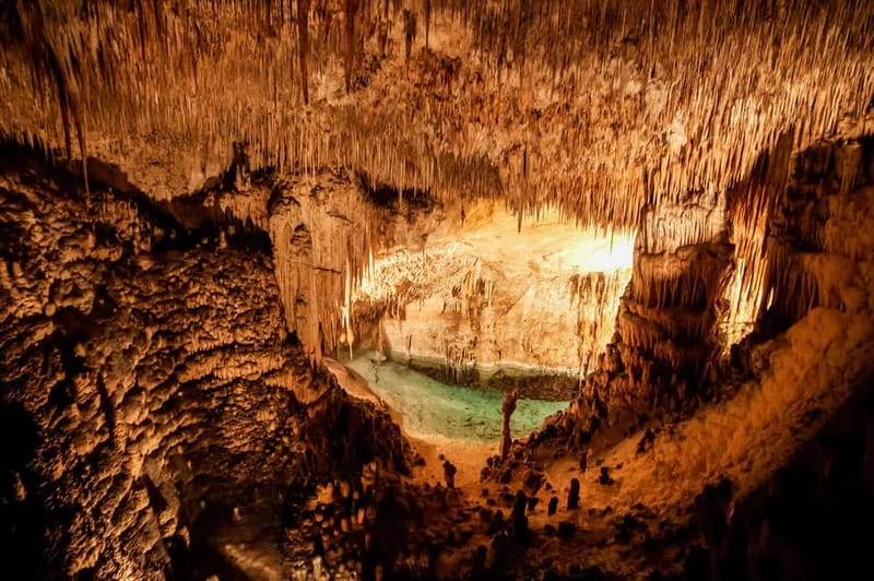 Mallorca: Caves of Drach Tour from the North with Boat Trip - Walking the cave route and handling 300 steps