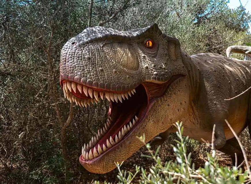 Mallorca: Caves of Hams and Dinosaurland Ticket with Pickup - The Music Show Adds a Theatrical Finish
