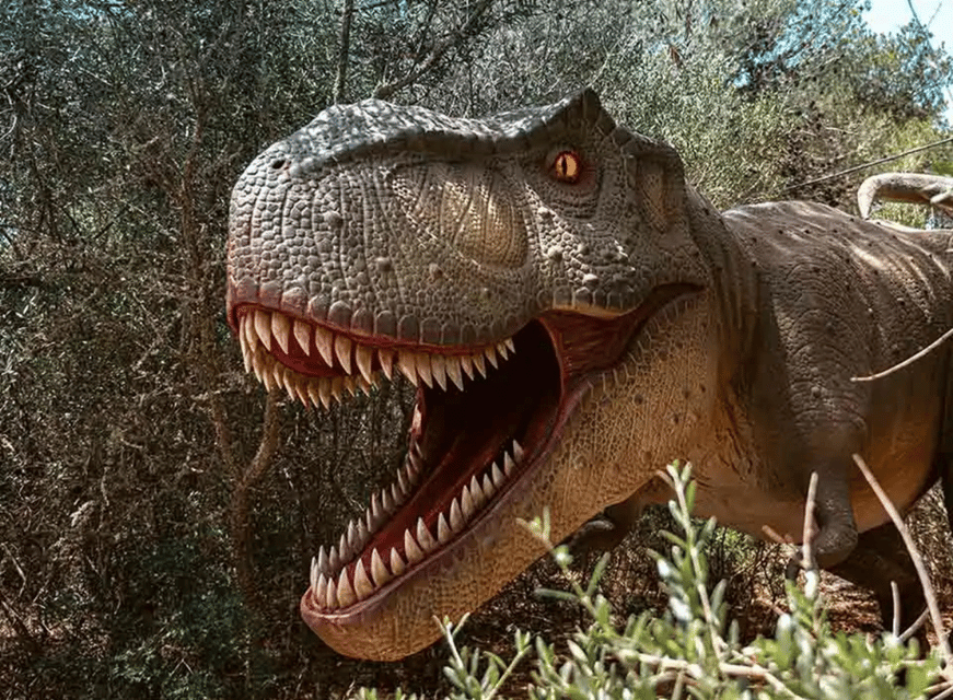 Mallorca: Caves of Hams and Dinosaurland Ticket with Pickup - How Flexible Is the Timing?