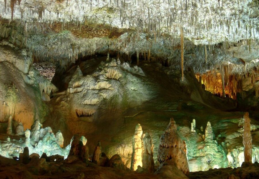 Mallorca: Caves of Hams and Dinosaurland Ticket with Pickup - Booking Details That Matter