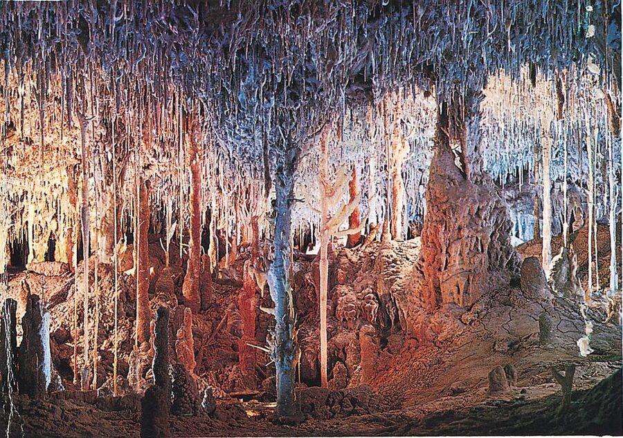 Mallorca: Caves of Hams, Blue Cave and audiovisual - Who will enjoy this experience most
